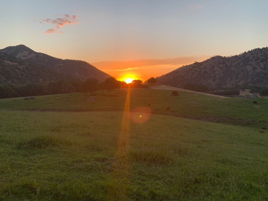 4-Day Silent Retreat for Inner Stillness, Renewal, and Moonlit Practice
