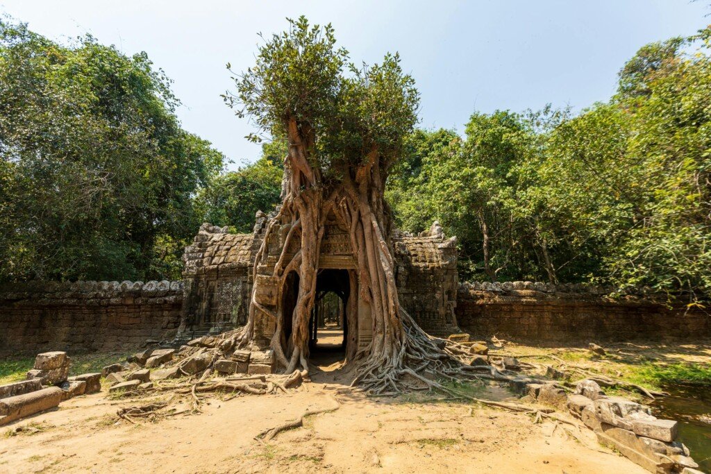 Sacred Beauty of Angkor Wat
