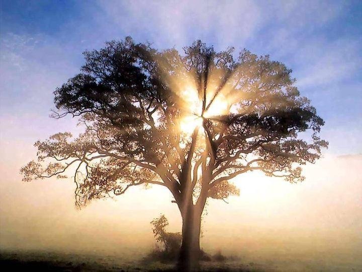4 Day Ethical Manifestation & Inner Mastery Retreat